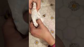 Asmr slime 