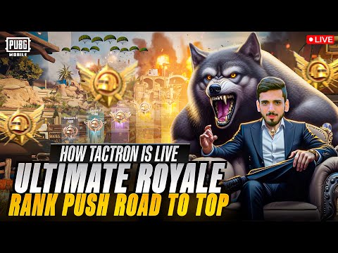 Rank Push Ultmita Royal  | How Tactron Live