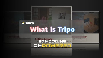 What is Tripo?
