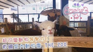 韓國FunUP90秒：首爾室內動物園