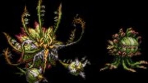 Binding Coil of Bahamut T6 (Rafflesia) - Black Mage POV - Final Fantasy XIV