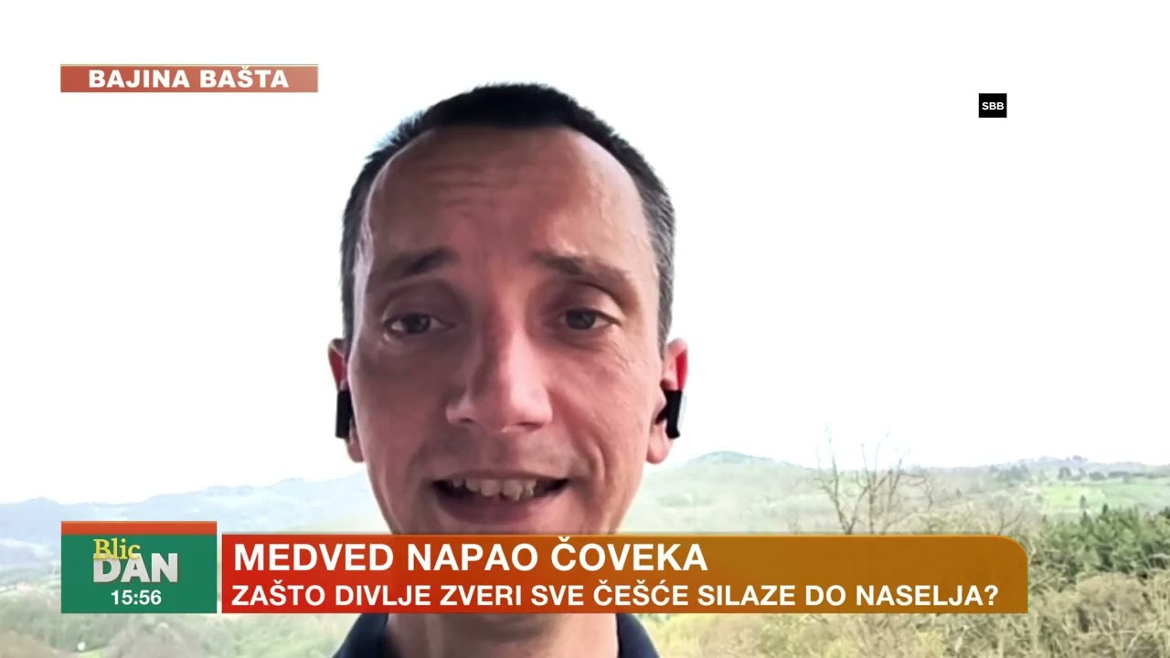 BAJINA BAŠTA NA NOGAMA! Medved napao čoveka! | BLIC DAN