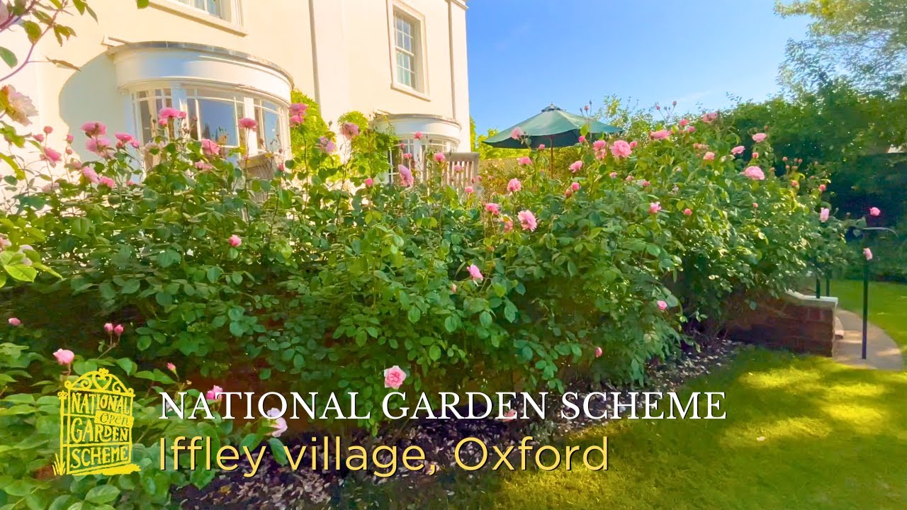 National Garden scheme: Iffley Village (Oxford) - open gardens, Part 2/3 | Giuppy in Arcadia