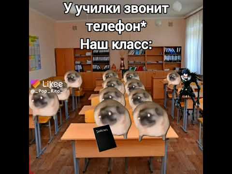 У училки звонит телефон*. Наш класс: