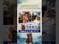 高級タチウオの三枚おろし!失敗しました!が...