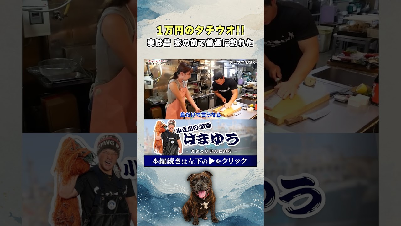 高級タチウオの三枚おろし!失敗しました!が...