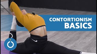 Beginner&#39;s CONTORTIONISM Tutorial  ✨ 3 Exercises to Increase Flexibility