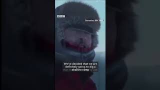 🐧 BBC Wildlife crew intervene to save penguins 🐧 from certain death 💀