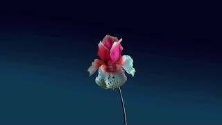 Flume - Mood C