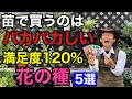 【コスパ最高ランク】秋まいて必ず得する花の種教えます　【園芸超人カーメン君】【ガーデニング】【初心者】