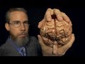 Massaging Your Brain (with Professor Clemmons) | ASMR