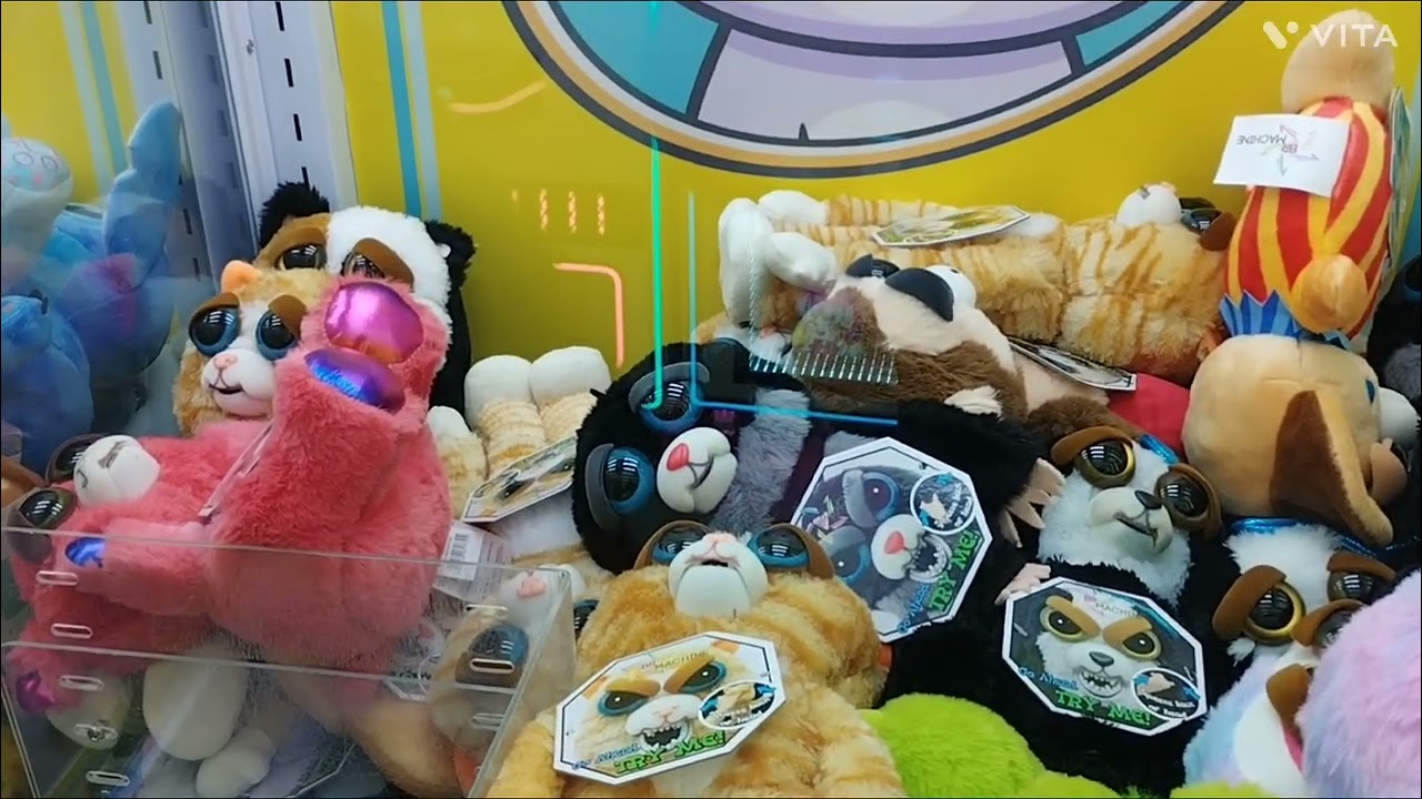 Mais 2 Feistys Novos 🦥🤡 #brmachine #brmachinefloripa