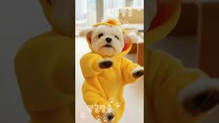 2025년 마지막 댄스 2026년에 만나요 뮤직 챌린지