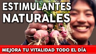 6 Plantas que aportan ENERGÍA y son  Estimulantes naturales