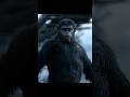 #movie #film Dawn of the Planet of the Apes (2014) | Malcolm Earns Caesar’s Trust