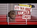 Lets Talk About Hamster Cages 🐹