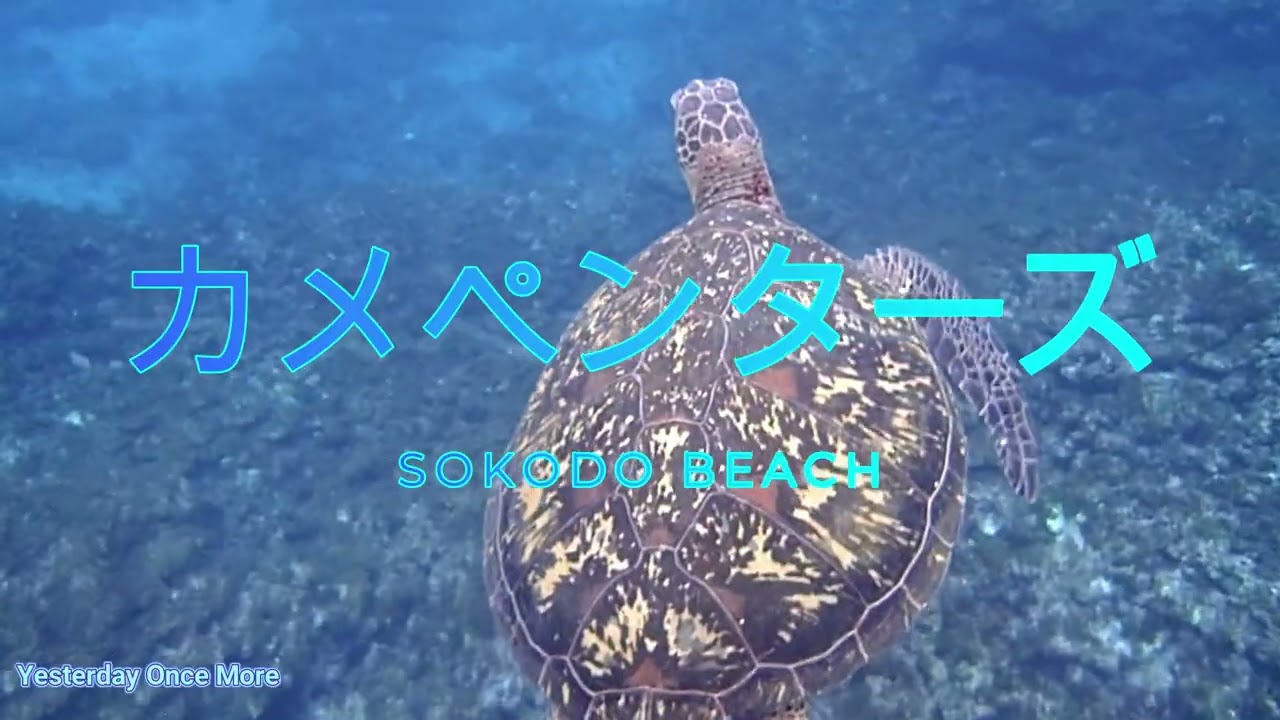 カメペンターズ - YouTube