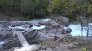 Salto de los salmones en Cañu. Rio Sella (Asturias)