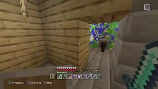 Fighting the Ender Dragon...again