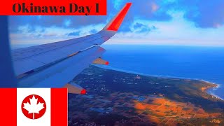 Okinawa Day 1 American Village, Taco Rice, Fire Show And Blue Seal Icecream