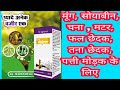 मूंग की फसल में फल छेदक के लिए बेस्ट कीटनाशक।Vajeer insecticide Agross|