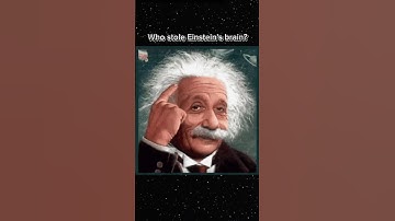 Einestein ന്റെ brain മോഷ്ടിച്ചതാര്😯