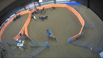 Big Sky Ranch Sorting Saddle Series #2 - #8 Ranch Hand H/C - Round #1 - Ride #22