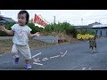 【逃げ足、早！！】猫から猛ダッシュで逃げる1歳4か月の赤ちゃん　みっぱちゃんねる