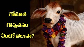 "హిందూ దేవుళ్ళ"గురించి
తెలియని ఞన్నో విషయాలు
తెలుసుకోడానికి క్రింది
లింక్ ని నౚక్కండి https://goo.gl/dlzo2f
hindu temple in pakistan temples guide hind...