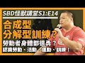 分解型 v.s 合成型訓練❓勞動者身體都很勇❓認識勞動/活動/運動/訓練🔥【SBD怪獸講堂 S1:E14】