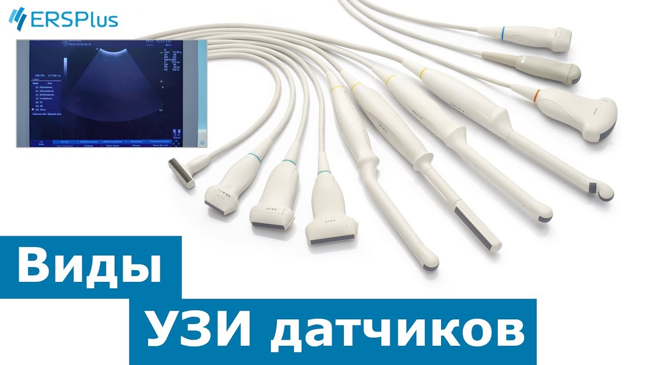 Основные виды УЗИ датчиков. - YouTube
