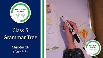 Grammar Tree | Class # 5 | Chapter 16 Contractions (Part # 5)