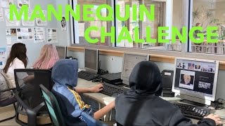 Mannequin Challenge | MERSD Green Team