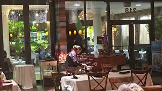 VLADI LUKAN PIANIST LIVE AT ART BASIL MANALAPAN MR SUNSHINE EDDY SHIPEK 561-693-8636 WORLDWIDE USA