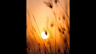 Surah Muminoon | Surah Al-Muminun | 023 | سورۃالمومنون |  Recitation Holy Quran Abdullah Al Khalaf