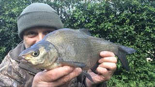 🎣 Slow fishing on the canal but at least I was on the right side of the line by Stewart Bloor 27 views 1 day ago 2 minutes, 8 seconds