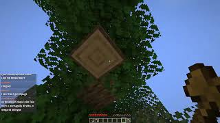 Minecraft - 1