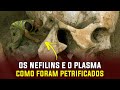 O elo perdido entre a última civilização e a nossa - Gigantes, Nefilins, Plasma, Apocalipse UFO OVNI