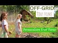 Aussie Couple Living Off-Grid In the Philippines // Growing A Permaculture Fruit Forest