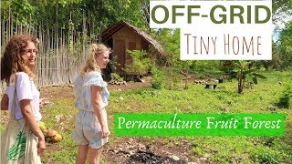 Aussie Couple Living Off-Grid In the Philippines // Growing A Permaculture Fruit Forest