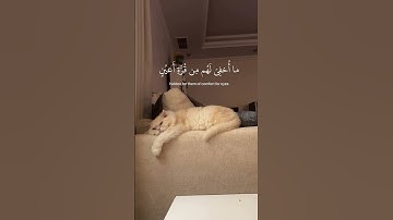 سورة السجدة الآية 17