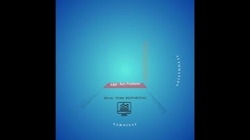 Top 4 Game-Changing ERP Features for Business Efficiency | Evolution In Sight