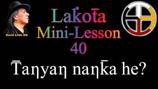 David Little Elk - Lakota Language Mini-Lesson 40 Tanyan nanka he?