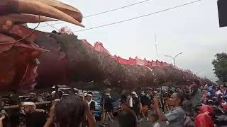 Karnaval Naga Sepanjang 100 Meter Rekor Baru Di Purwosari Kota Pasuruan