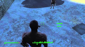 Fallout 4: Duplication  glitch  on a junk item
