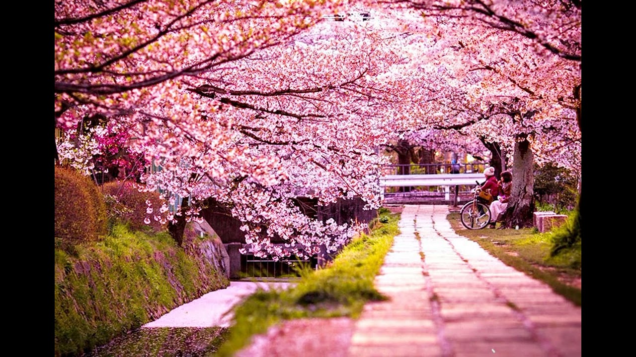 Deep Sleeping - Meditation Music Luke Padilla Nikhil Wise Peter Patterson Maryjane Jenkins Lia