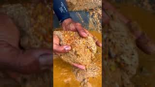 PENEMUAN LANGKA MENEMUKAN SUNGAI EMAS TERSEMBUNYI ⚒️😱