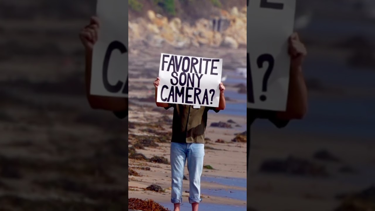 Found someone on the beach, using our 200-600MM lens, asking a very important question... 📷 ⬇️