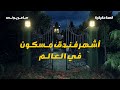 قصة حقيقية لأشهر فندق مسكون حول العالم سامر يونس قصة حقيقية لأشهر فندق مسكون حول العالم سامر يونس