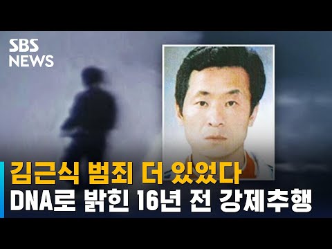 김근식 범죄 더 있었다…<strong>DNA로</strong> 밝혀낸 16년 전 강제추행 / SBS